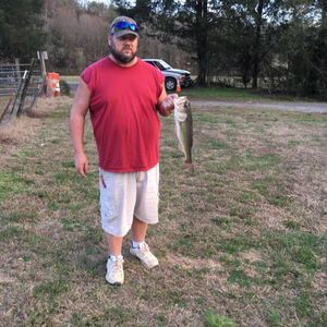 Meet your Posher, Clyde